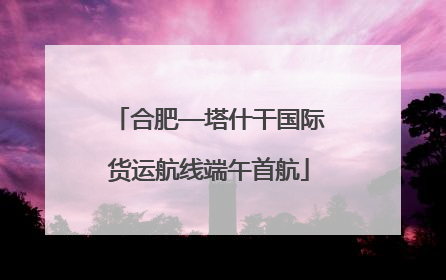 合肥—塔什干国际货运航线端午首航