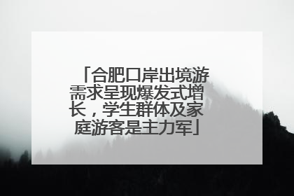 合肥口岸出境游需求呈现爆发式增长，学生群体及家庭游客是主力军