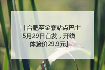 合肥至金寨站点巴士5月29日首发，开线体验价29.9元