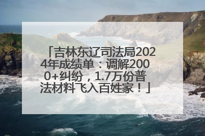 吉林东辽司法局2024年成绩单：调解2000+纠纷，1.7万份普法材料飞入百姓家！