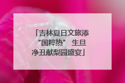 吉林夏日文旅添“国粹热” 生旦净丑献梨园盛宴