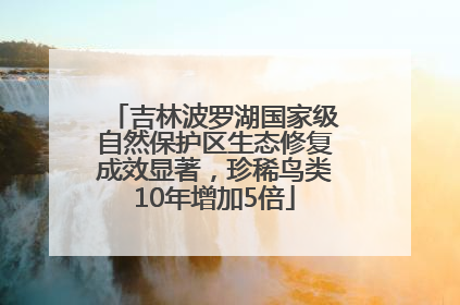 吉林波罗湖国家级自然保护区生态修复成效显著，珍稀鸟类10年增加5倍