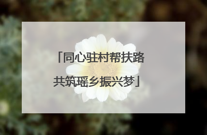 同心驻村帮扶路 共筑瑶乡振兴梦