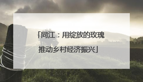 同江：用绽放的玫瑰 推动乡村经济振兴
