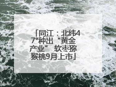 同江：北纬47°种出“黄金产业” 软枣猕猴桃9月上市