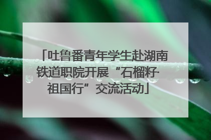 吐鲁番青年学生赴湖南铁道职院开展“石榴籽·祖国行”交流活动