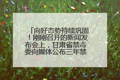 向好态势持续巩固！刚刚召开的新闻发布会上，甘肃省禁毒委向媒体公布三年禁毒工作“成绩单”