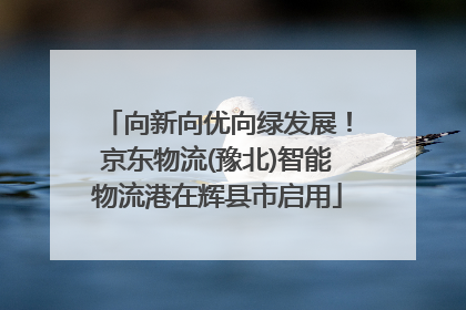 向新向优向绿发展！京东物流(豫北)智能物流港在辉县市启用