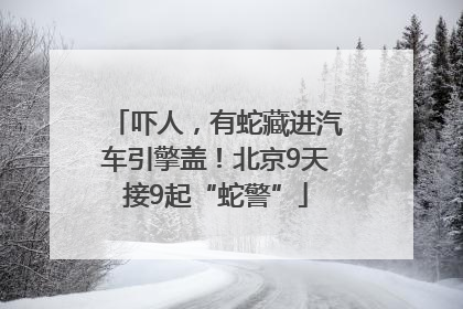 吓人，有蛇藏进汽车引擎盖！北京9天接9起“蛇警”