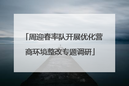 周迎春率队开展优化营商环境整改专题调研