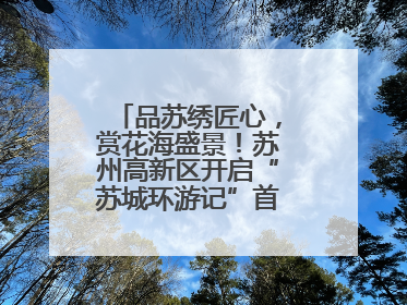 品苏绣匠心，赏花海盛景！苏州高新区开启“苏城环游记”首条非遗主题游