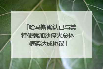 哈马斯确认已与美特使就加沙停火总体框架达成协议