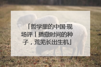 哲学里的中国·现场评丨播撒时间的种子，荒芜长出生机