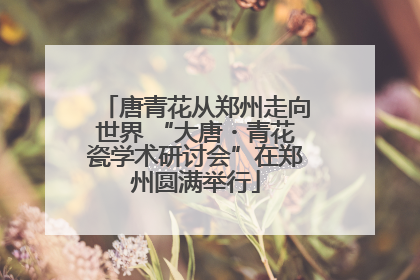 唐青花从郑州走向世界 “大唐・青花瓷学术研讨会”在郑州圆满举行