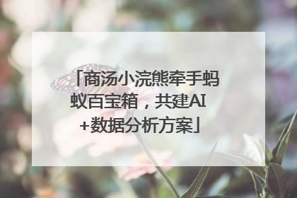 商汤小浣熊牵手蚂蚁百宝箱，共建AI+数据分析方案