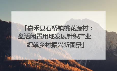 嘉禾县石桥镇桃花源村：盘活闲置用地发展针织产业 织就乡村振兴新图景