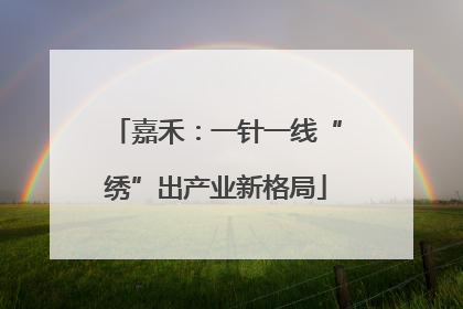 嘉禾：一针一线“绣”出产业新格局