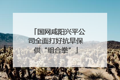 国网咸阳兴平公司全面打好抗旱保供“组合拳”