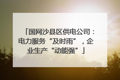国网沙县区供电公司：电力服务“及时雨”，企业生产“动能强”