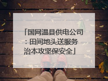 国网温县供电公司：田间地头送服务 治本攻坚保安全