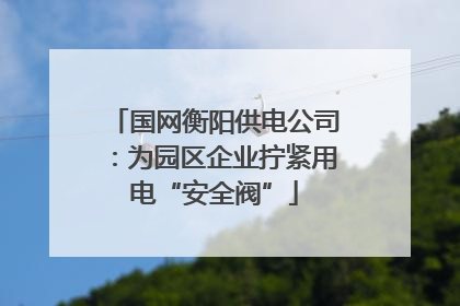 国网衡阳供电公司：为园区企业拧紧用电“安全阀”