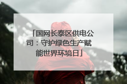 国网长泰区供电公司：守护绿色生产赋能世界环境日