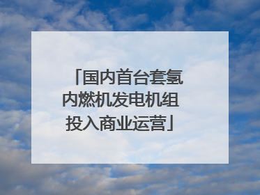国内首台套氢内燃机发电机组投入商业运营