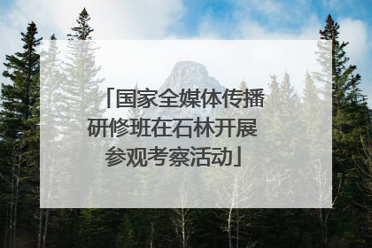 国家全媒体传播研修班在石林开展参观考察活动
