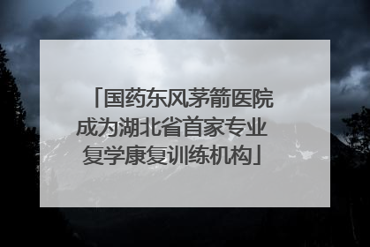 国药东风茅箭医院成为湖北省首家专业复学康复训练机构
