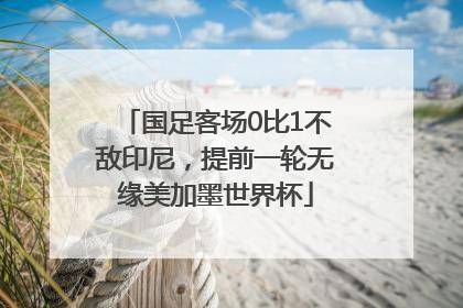 国足客场0比1不敌印尼，提前一轮无缘美加墨世界杯