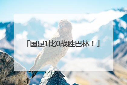 国足1比0战胜巴林！
