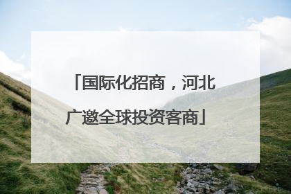 国际化招商，河北广邀全球投资客商