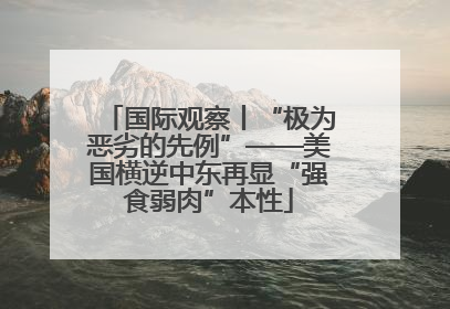 国际观察丨“极为恶劣的先例”——美国横逆中东再显“强食弱肉”本性