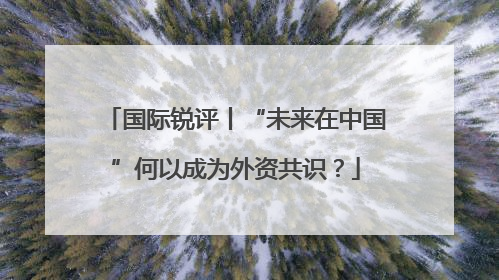国际锐评丨“未来在中国”何以成为外资共识？