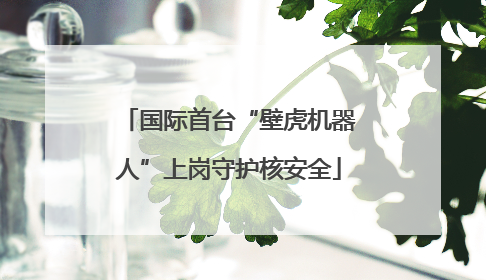 国际首台“壁虎机器人”上岗守护核安全