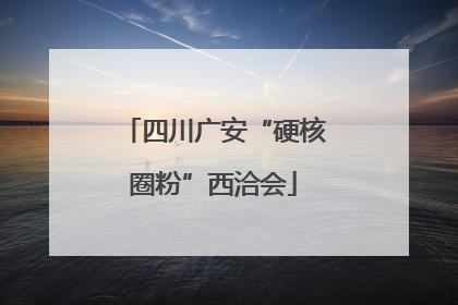 四川广安“硬核圈粉”西洽会