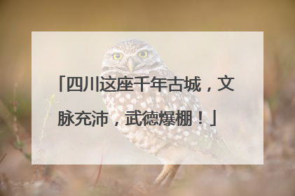 四川这座千年古城，文脉充沛，武德爆棚！