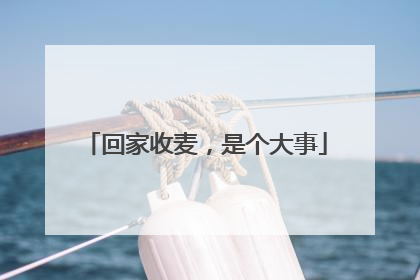 回家收麦，是个大事