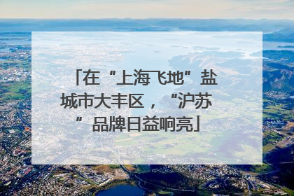在“上海飞地”盐城市大丰区，“沪苏”品牌日益响亮