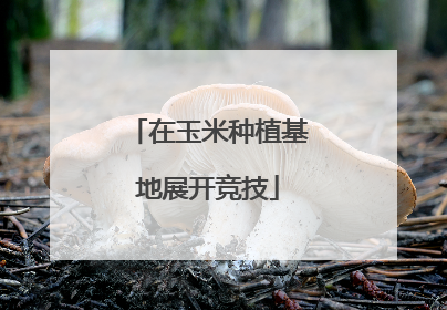 在玉米种植基地展开竞技