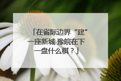 在省际边界“建”一座新城 豫皖在下一盘什么棋？