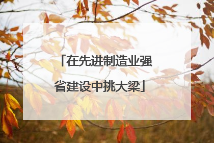 在先进制造业强省建设中挑大梁