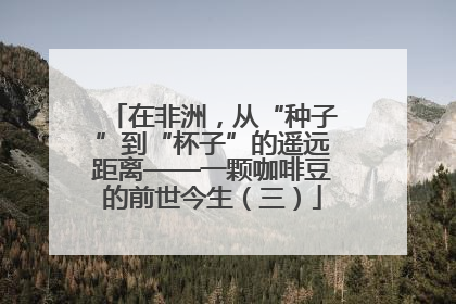 在非洲，从“种子”到“杯子”的遥远距离——一颗咖啡豆的前世今生（三）
