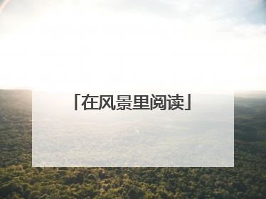 在风景里阅读