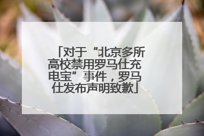 对于“北京多所高校禁用罗马仕充电宝”事件，罗马仕发布声明致歉