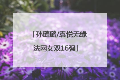 孙璐璐/袁悦无缘法网女双16强