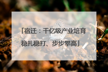 宿迁：千亿级产业培育稳扎稳打、步步攀高