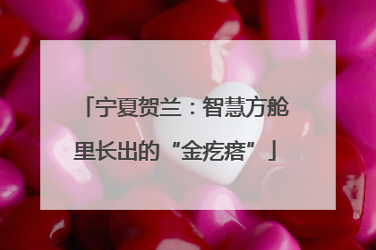 宁夏贺兰：智慧方舱里长出的“金疙瘩”