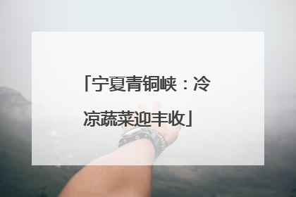 宁夏青铜峡：冷凉蔬菜迎丰收