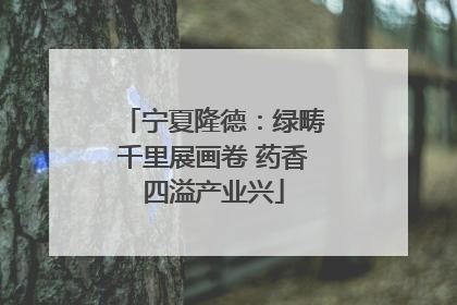 宁夏隆德：绿畴千里展画卷 药香四溢产业兴
